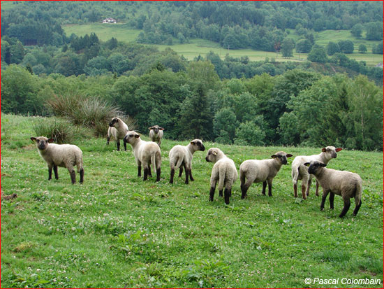 sexe femme cherche homme en lorraine